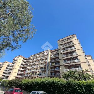 5 locali in affitto - Photo 2