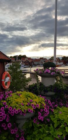 Utkiksgränd, Öregrund - Foto 4