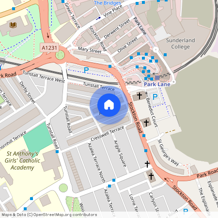 Alice Street, Thornhill, Sunderland, SR2