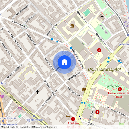 Friedensgasse 19, 4056 Basel