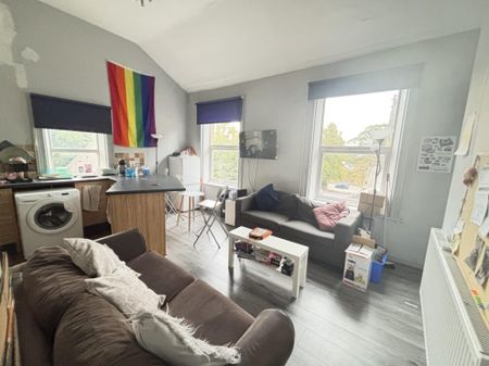 2 Flat 1 Ashwood Villas, Leeds, LS6 2EJ - Photo 4