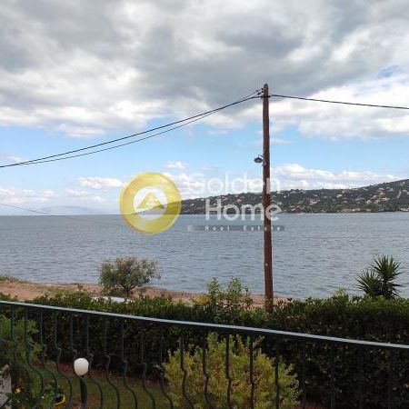 Ενοικίαση, Κατοικία, Μονοκατοικία - Φωτογραφία 1