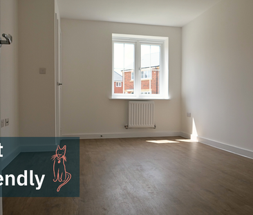 3 bedroom semi-detached house to rent - Photo 2