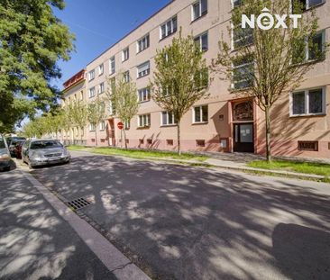 Pronájem bytu 2+kk 55 m² - Fotografie 5