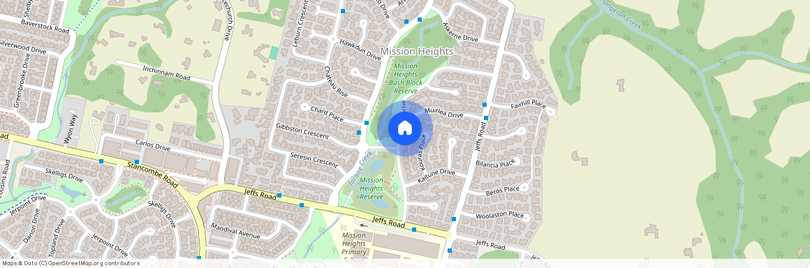 23 Packspur Drive, Flat Bush, Manukau City