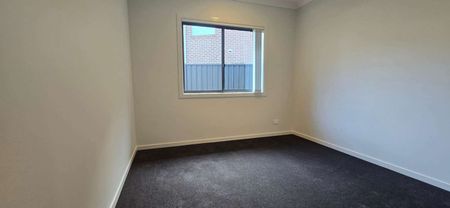 19 Fuyu Street, Cobbitty NSW 2570 - House For Rent | Domain - Photo 4