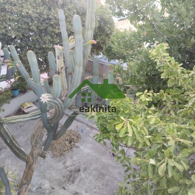 Διαμέρισμα για ενοικίαση Σπάτα - Φωτογραφία 1