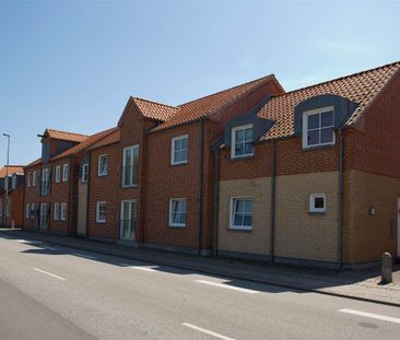 Hals - Photo 4