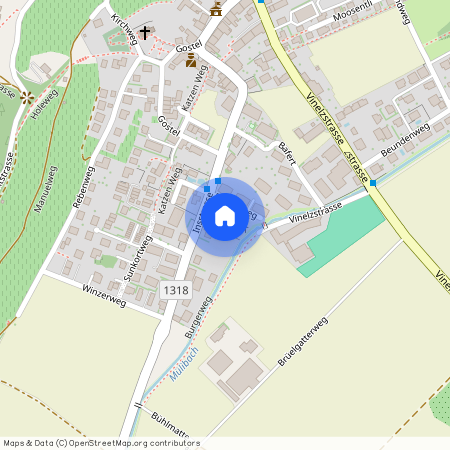 3235, Erlach, Insstrasse, 19