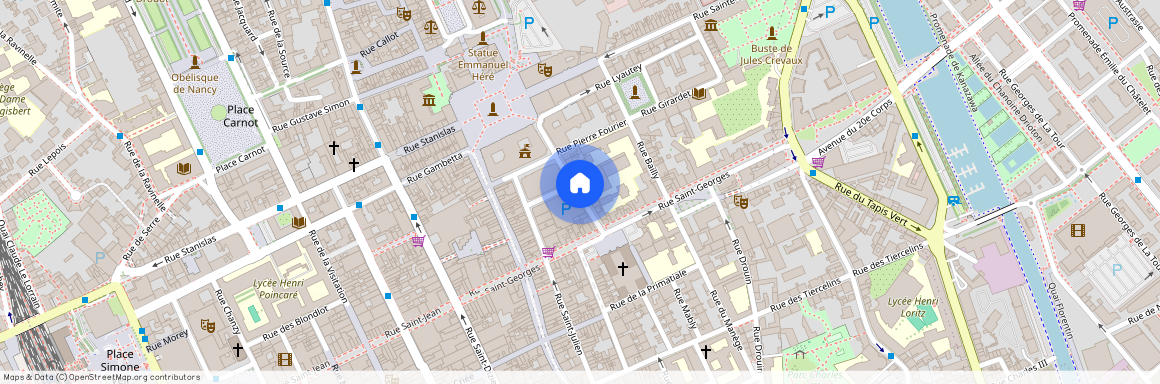 9-9 BIS RUE MAURICE BARRES, Charles Iii Nord Tiercelins St-Georges, Nancy
