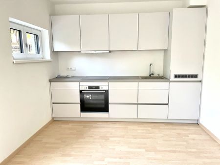 U1 LEOPOLDAU - TRAUMHAFTE WOHNUNG MIT EIGENGARTEN - IDYLLISCHE GRÜNRUHELAGE - PARKPLATZ - Photo 4