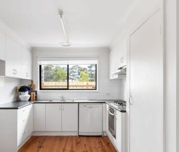 4/223 Thomas Street, Hampton VIC 3188 - Apartment For Rent | Domain - Photo 1