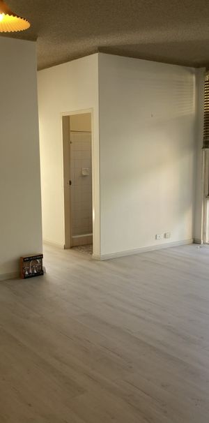 Renovated 2 Bedroom Unit - Photo 1