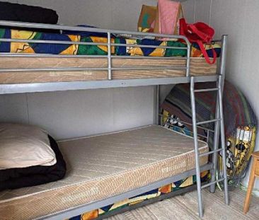 Kelly Jade - Bring your furry friends! - Photo 3