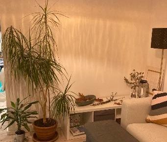 2 ZKB Wohnung mit EBK, top Zustand - Am Homburg - Photo 5