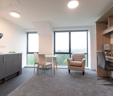 Studio Flat, Shaw Street, L6 - Photo 1