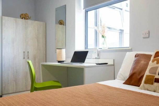 Platinum Accessible Studio - Photo 1