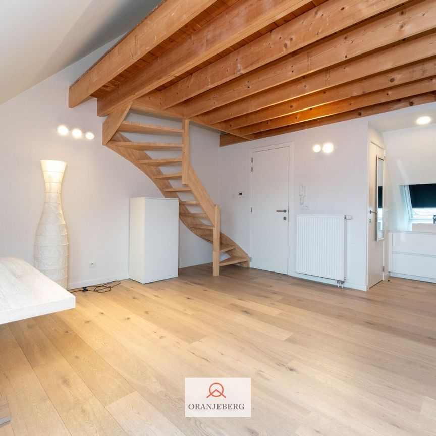 Gerenoveerd appartement met unieke en rustige ligging - Foto 1