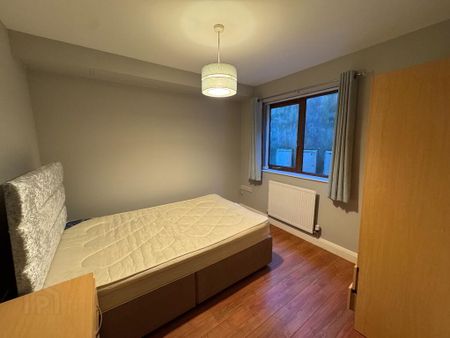 Unit 8, 219 Saintfield Road, Belfast, BT8 7HQ - Photo 4