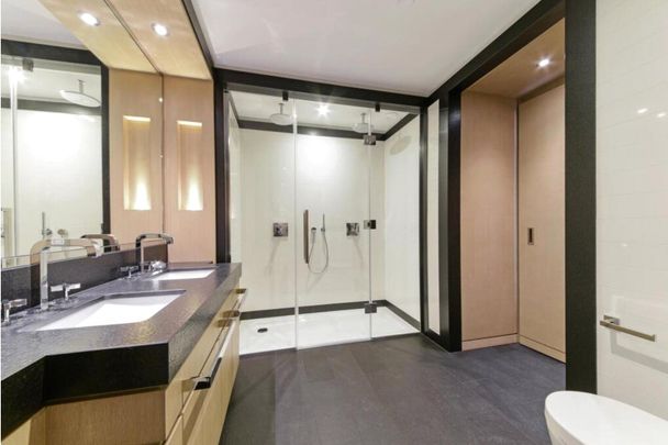 The Modern, Embassy Gardens, 1 Viaduct Gardens, SW11 7AY - Photo 1