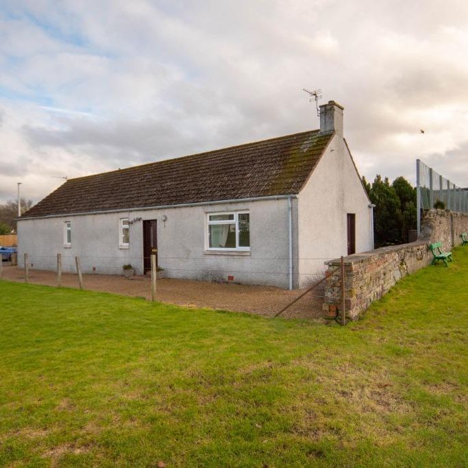 2 bedroom detached house to rent - Photo 1