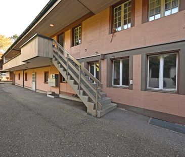 Frisch renovierte 2-Zimmer-Wohnung im grünen Signau! - Photo 5