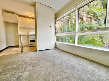 7/51 Roslyn Gardens, Elizabeth Bay NSW 2011 - Apartment For Rent | Domain - Photo 2