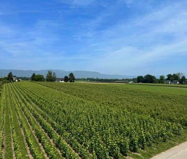 Beautiful townhouse with large private garden in Coppet - Foto 4