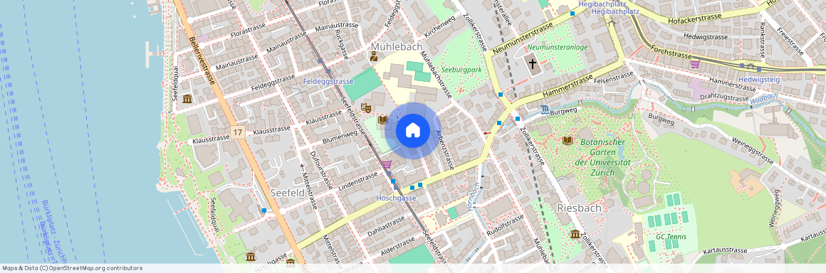 8008, Zürich, Riesbachstrasse