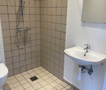 Dejlig 1-værelses lejemål i Ringe - Photo 4