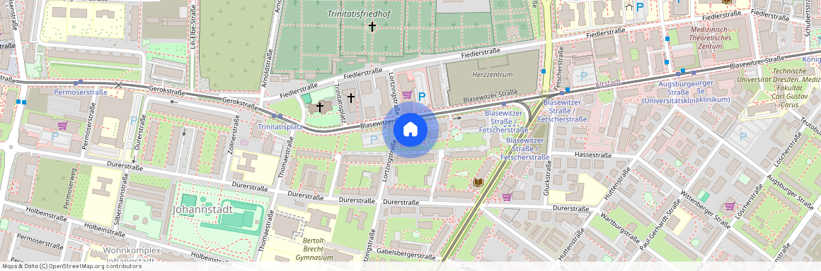 Blasewitzer Str. 36b, 01307, Dresden Ot Johannstadt-Süd