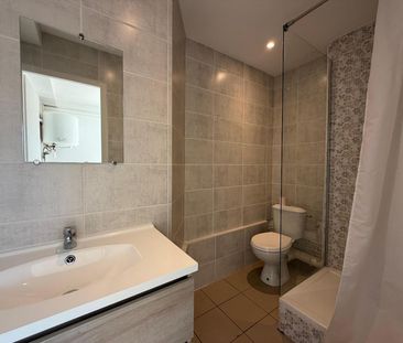 Location Appartement 1 pièce 33m² VAULX EN VELIN 69120 - Photo 4
