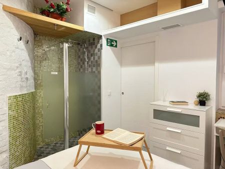 Paseo de las Delicias, Madrid, Community of Madrid 28045 - Photo 5