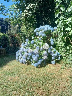 Appartamento in villa Località Monte Poro, Caroniti Corinti, Joppolo - Photo 1
