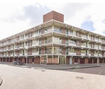 Amerbos 0ong, 1025 Amsterdam, Nederland - Photo 1