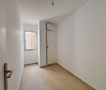 Apartment in Santa Catalina - Photo 3