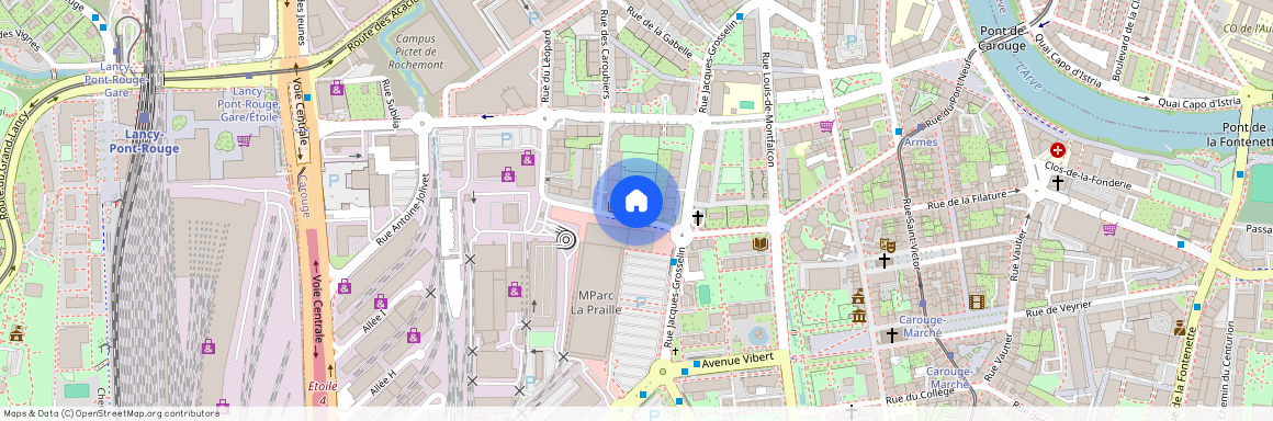 1227, Carouge GE, Rue Alexandre Gavard 12Bis, 16