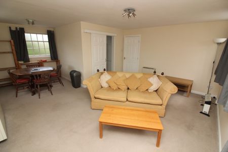 1 Bedroom Apartment - Photo 3