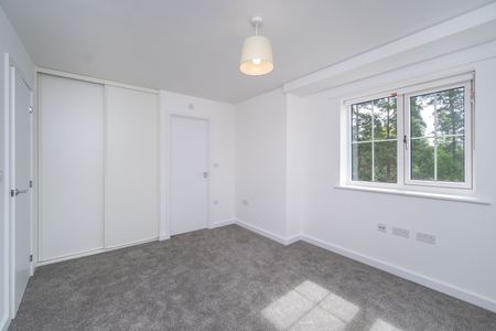 Wheldon Lane, Crowthorne, RG45 - Photo 5