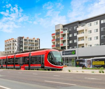 Close to Everything - Photo 3