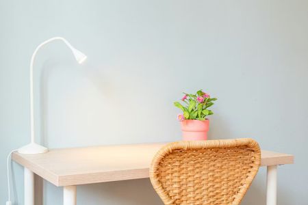 Via Plinio, Milan, Lombardy 20129 - Foto 4