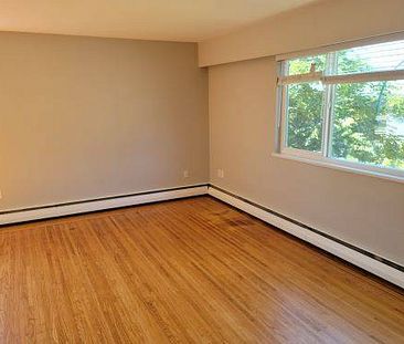 Large Bright Renovated 1 bedroom - Photo 1