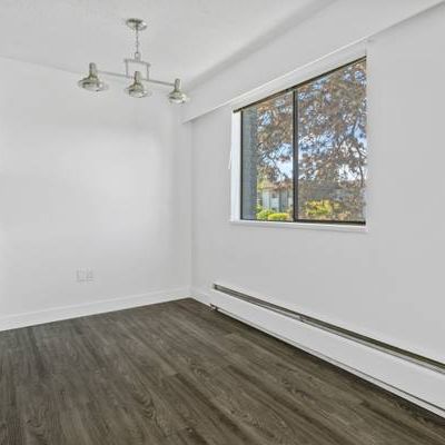 Dorchester Apartments - 1 Bedroom - Available Now - Photo 3