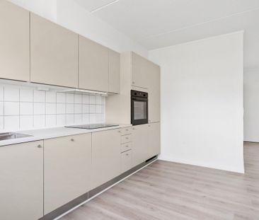 Padborgvej 204, 8600 Silkeborg - Photo 3