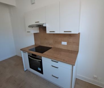 Location Appartement 1 pièce 39m² GRENOBLE 38000 - Photo 3