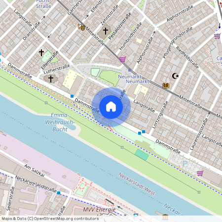 Alphornstraße 1, 68169 Mannheim