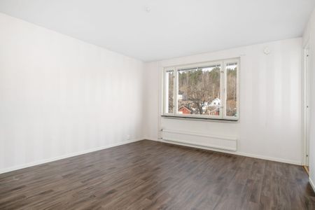 Mossebogatan, Sommen - Foto 3