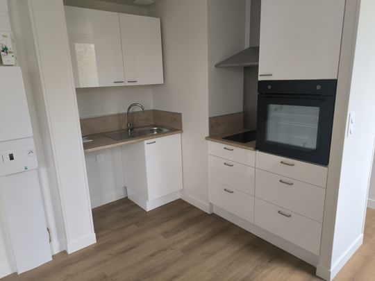 Location Appartement 2 pièces 30m² APPOIGNY 89380 - Photo 1