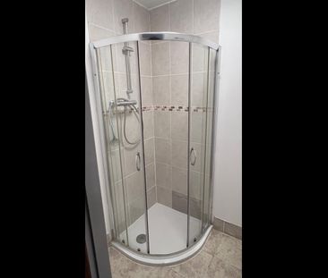 Room in a Shared Flat, Young Village, L5 - Photo 3