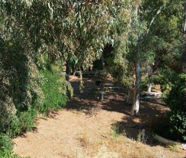 Διαμέρισμα για ενοικίαση - Μαρκόπουλο, - Photo 4
